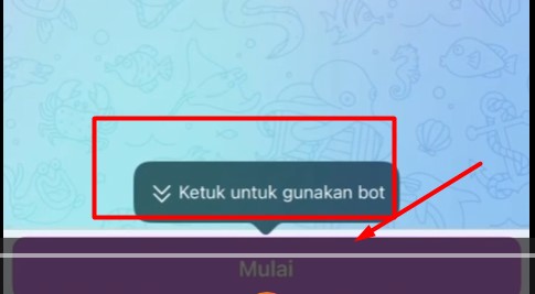 Setelah itu klik "Mulai"